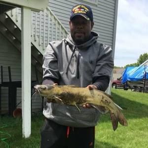 Meet your Posher, Abdul